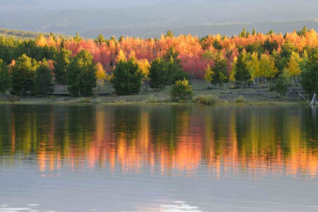 Fall Image in the Unita Mountain of Utah